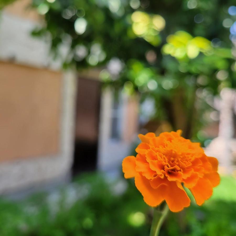 River House Boutique Hotel Yerevan Luaran gambar