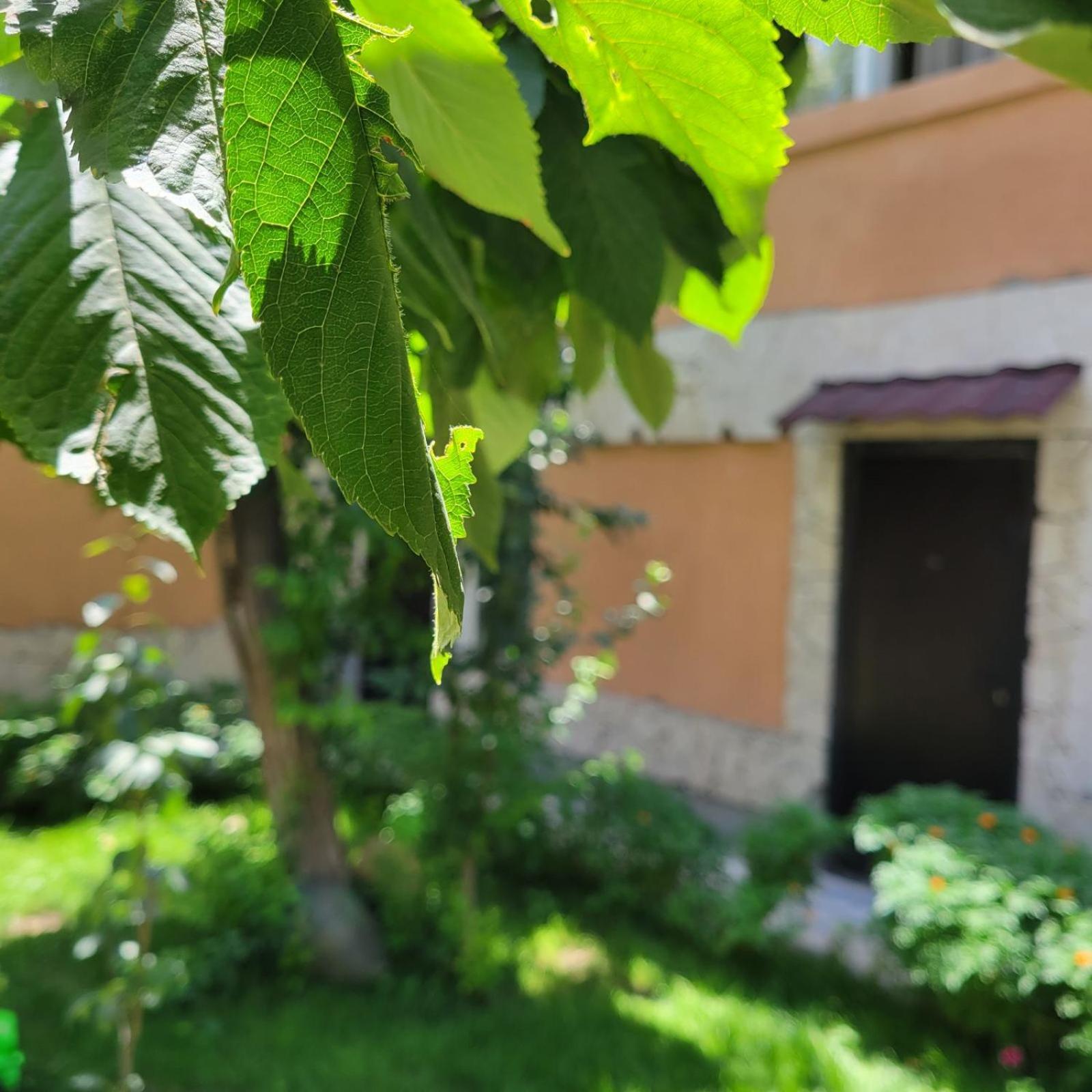 River House Boutique Hotel Yerevan Luaran gambar
